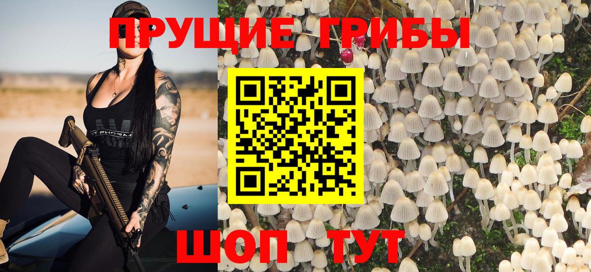 Псилоцибиновые грибы MAGIC MUSHROOMS Топки